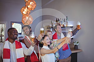 Group of friends toasting glasses of beer while watching match