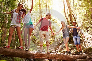 Group Of Friends On Walk Balancing On Tree Trunk In Forest photo