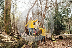 Group of friends walking with backpacks in forest. Trekking travel in adventure lifestyle, nature hiking in vacation