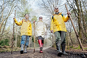 Group of friends walking with backpacks in forest. Trekking travel in adventure lifestyle, nature hiking in vacation