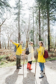 Group of friends walking with backpacks in forest. Trekking travel in adventure lifestyle, nature hiking in vacation