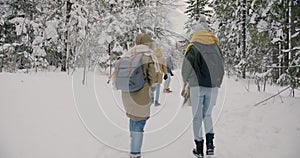 Group of friends walking together in winter forest talking enjoying natural landscape