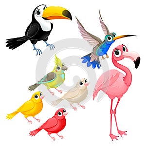 Group of funny tropical birds
