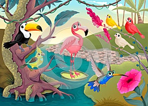 Group of funny tropical birds in the jungle