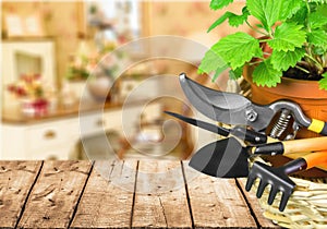 Group of Gardening tools on background