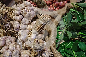Group of garlic in brown gunny sack