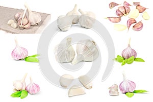 Group of Garlic isolated on a white background