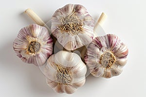 Group of Garlics on White Background Several garlic bulbs are arranged and placed on a white table