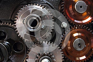 Group of gear