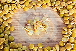 Group of germinate lentil with frame on wooden background, health food, legume