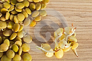 Group of germinate lentil on wooden background, health food