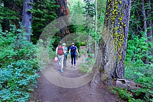 Group of Girls Family Hiking on Trail in Forest