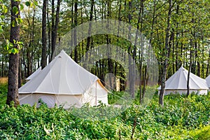 Group of glamping bell tents photo