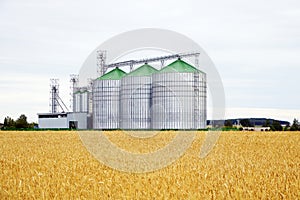 Group of grain dryers complex on the background of a yellow field of wheat or barley