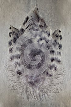 Group of gray spotted owl feathers