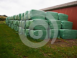 A group of green bales with hay fermenting