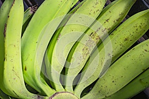 Group of green bananas for sale