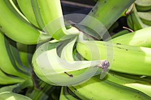 Group of green bananas for sale