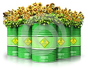 Group of green biofuel drums with sunflowers isolated on white b