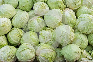 Group of green cabbages in a market at china.