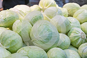 Group of green cabbages in a supermarket, Cabbage background, Fresh cabbage from farm field, a lot of cabbage at market place.