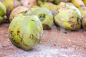 Group of green coconuts