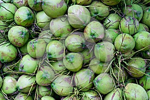 Group of green coconuts textured background