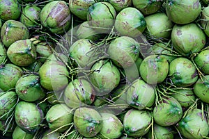 Group of green coconuts textured background