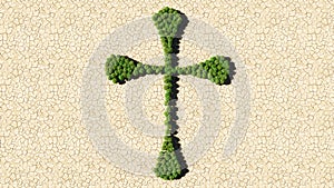 Group of green forest tree on dry ground background as sign of religious christian cross