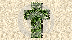 Group of green forest tree on dry ground background as sign of religious christian cross