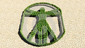 Group of green forest tree on dry ground background, sign of  vitruvius man