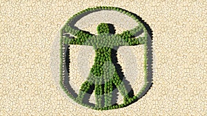 Group of green forest tree on dry ground background, sign of vitruvius man