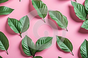 Group of green leaves on pink background