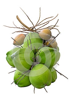 Group of green and yellow coconuts on white background