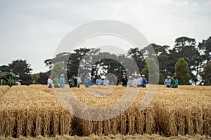group of growers in a field at a field day learning about wheat crops photo