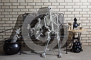 Group of Halloween skeletons with dramatic shadow lighting