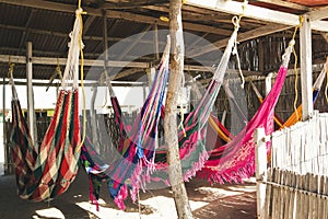 A group of hammocks in Cabo de la Vela, Guajira, Colombia photo