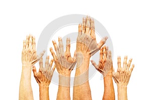 Group of hands raising on white background with clipping path