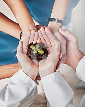 Group, hands support and seedling plant for doctors, teamwork or growth in medical career with mission. Doctor, nurse