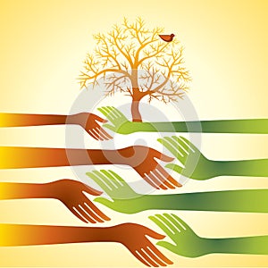 Group of hands with tree, business agreement conce