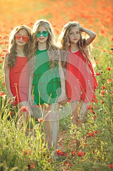 Group of happy children playing outdoors. Children have fun in the spring park. Girls run in the field with poppies.