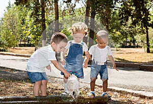 Group of happy children playing in park. Summer nature .