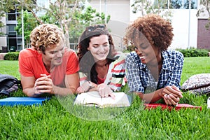 Group of happy college students in grass