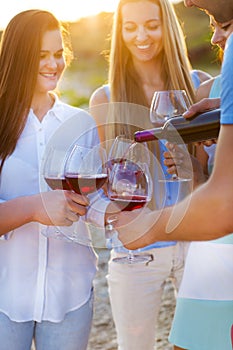 Group of happy friends having red wine on the beach