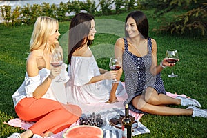 Group Of Happy Young Friends On Vacation Enjoying Wine At Picnic.