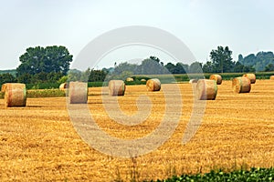 Group of Hay Bales on a Sunny Summer Day - Padan Plain Italy