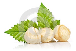 Group of hazelnuts with green leaves isolated