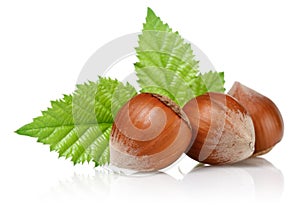 Group of hazelnuts with green leaves isolated