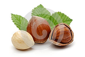 Group of hazelnuts with green leaves isolated