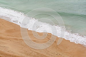 A group of Herons on the gathered on the beach